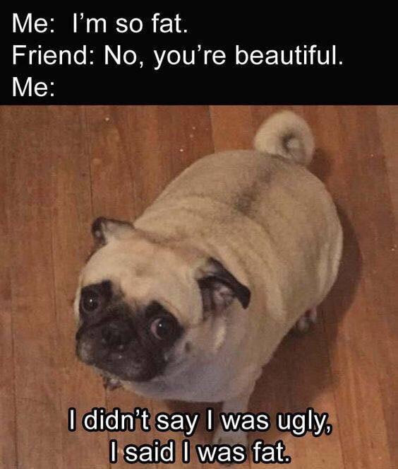 fat friend meme - Me I'm so fat. Friend No, you're beautiful. Me I didn't say I was ugly, I said I was fat.
