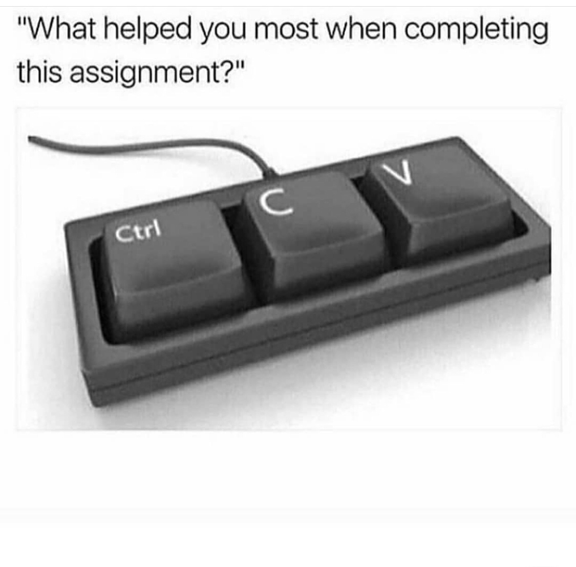 ctrl cv meme - "What helped you most when completing this assignment?" Ctrl