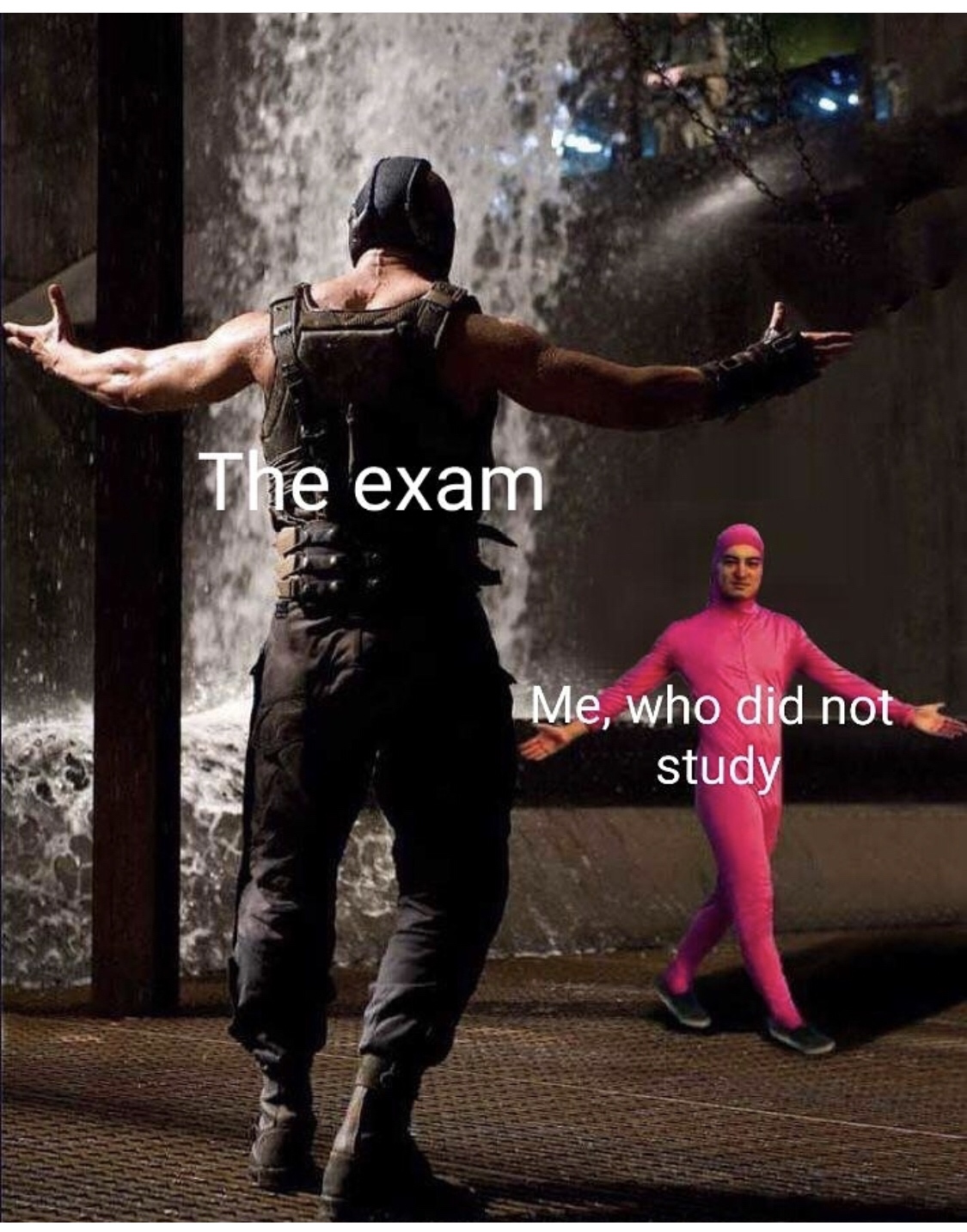 bane pink guy meme - The exam Me, who did not study