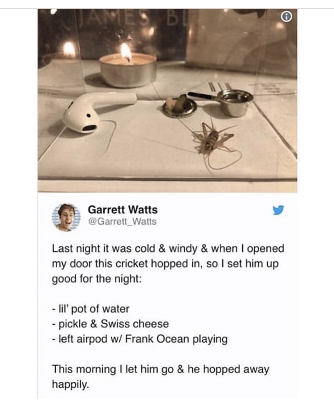 garrett watts quotes - Garrett Watts Last night it was cold & windy & when I opened my door this cricket hopped in, so I set him up good for the night lil' pot of water pickle & Swiss cheese left airpod w Frank Ocean playing This morning I let him go & he