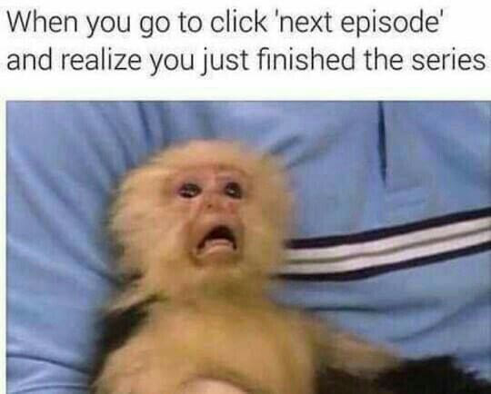 you go to click next episode - When you go to click 'next episode and realize you just finished the series