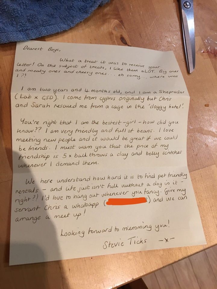 writing - Dearest Boys, What a treat it was to receive your letter! On the subject of treats, I them a Lot. Big ones and meaty ones and cheesy ones. oh sony... where we 1 ?! I am two years and 4 months old, and I am a Sheprador. Lab & Gsd. I come from cyp