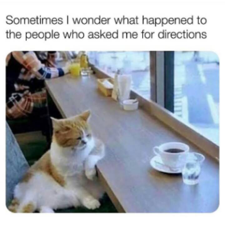 coffee shop gif - Sometimes I wonder what happened to the people who asked me for directions