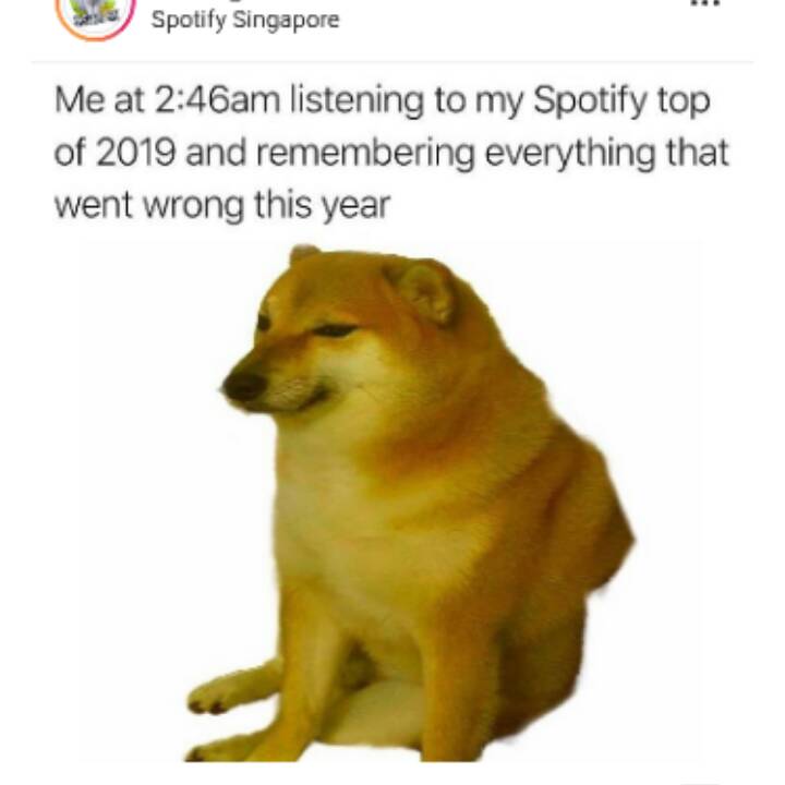 cheems dog original - Spotify Singapore Me at am listening to my Spotify top of 2019 and remembering everything that went wrong this year