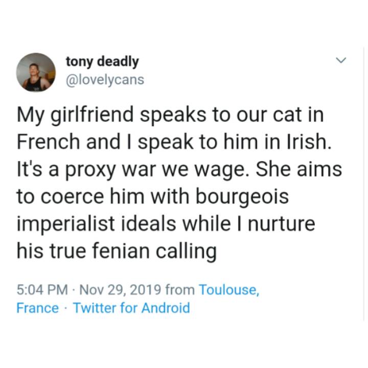 document - tony deadly My girlfriend speaks to our cat in French and I speak to him in Irish. It's a proxy war we wage. She aims to coerce him with bourgeois imperialist ideals while I nurture his true fenian calling . from Toulouse, France Twitter for An