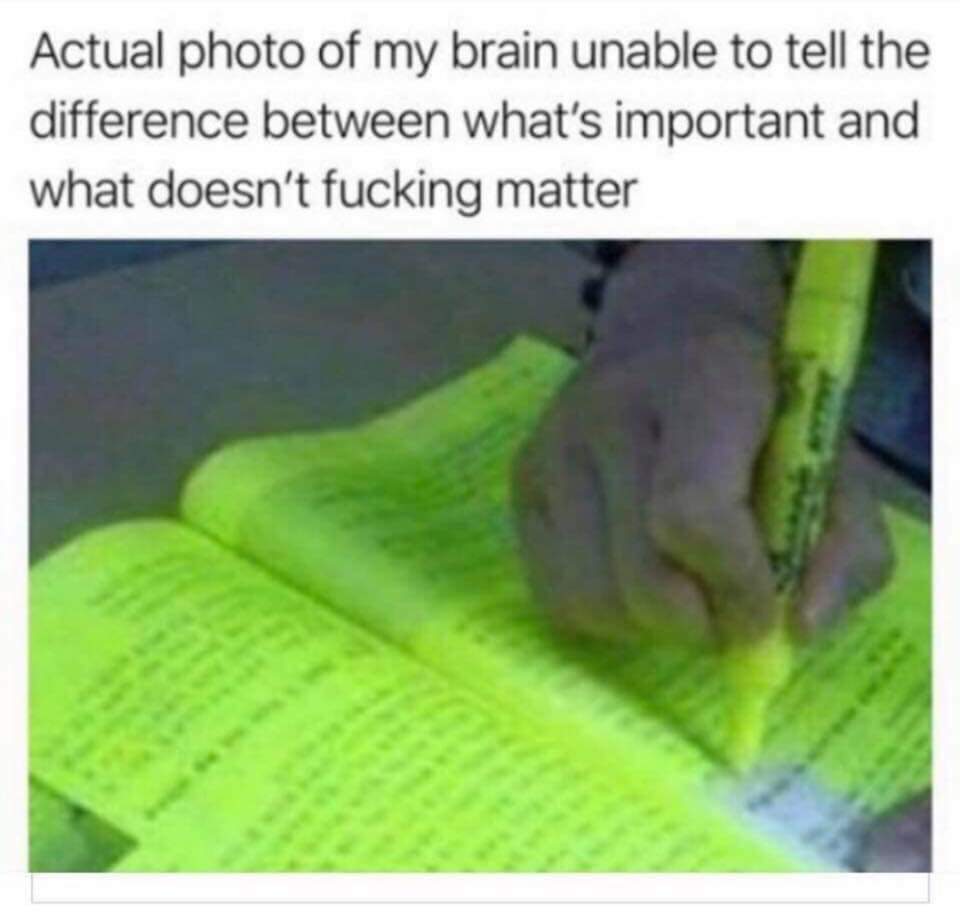 highlight whats important meme - Actual photo of my brain unable to tell the difference between what's important and what doesn't fucking matter