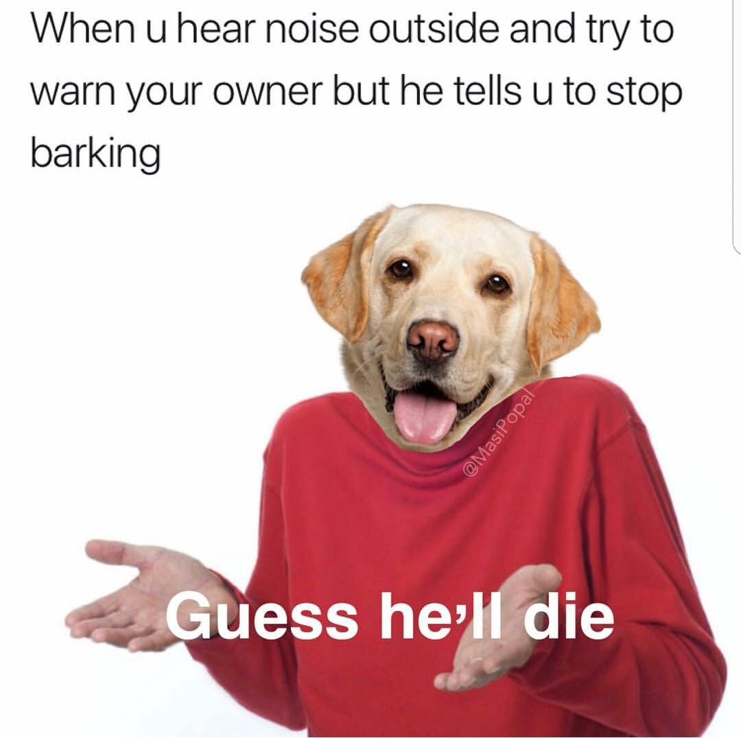 guess hell die - When u hear noise outside and try to warn your owner but he tells u to stop barking Guess he'll die