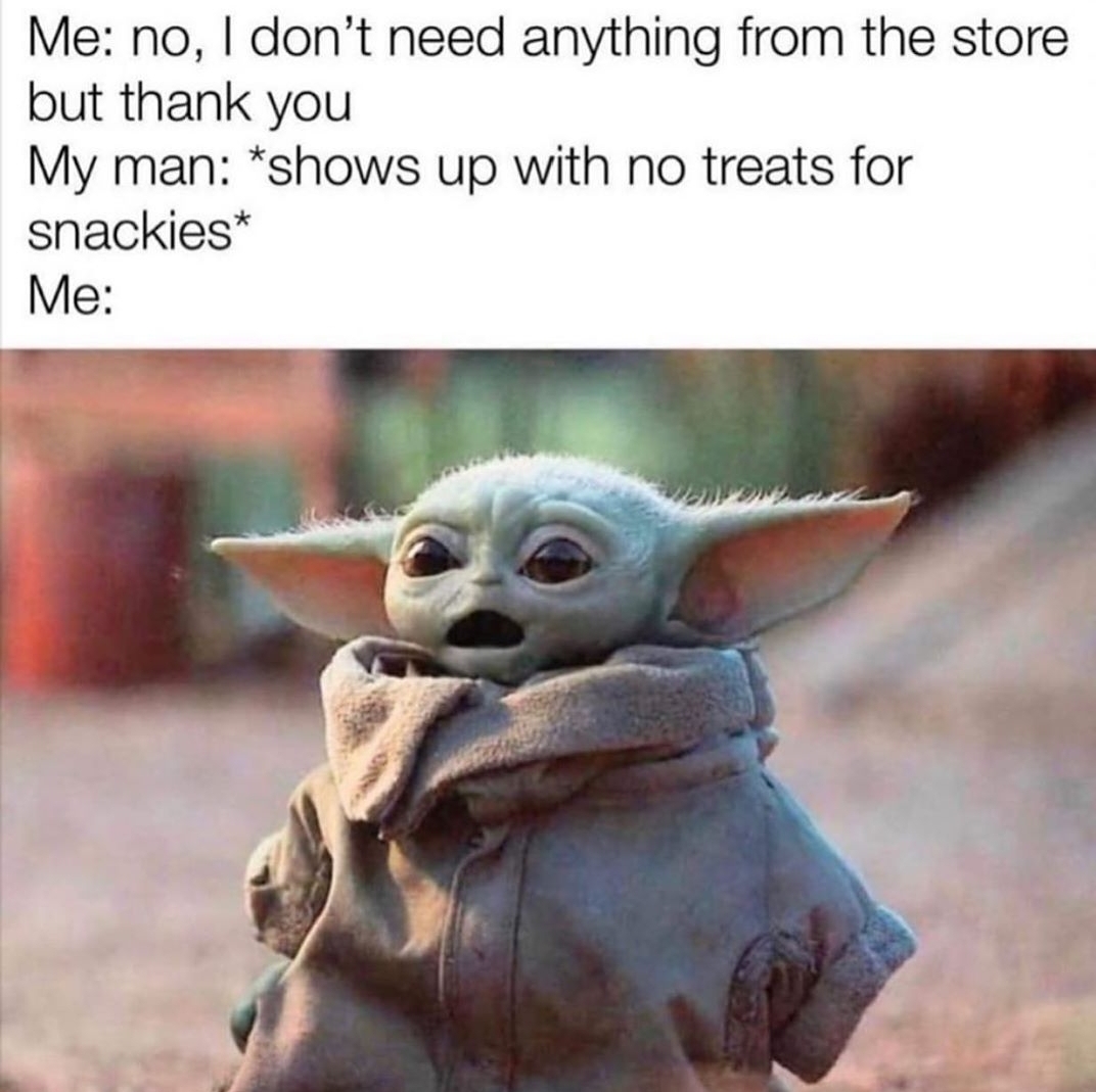 baby yoda memes reddit - Me no, I don't need anything from the store but thank you My man shows up with no treats for snackies Me