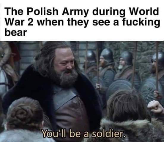 wojtek meme - The Polish Army during World War 2 when they see a fucking bear You'll be a soldier.