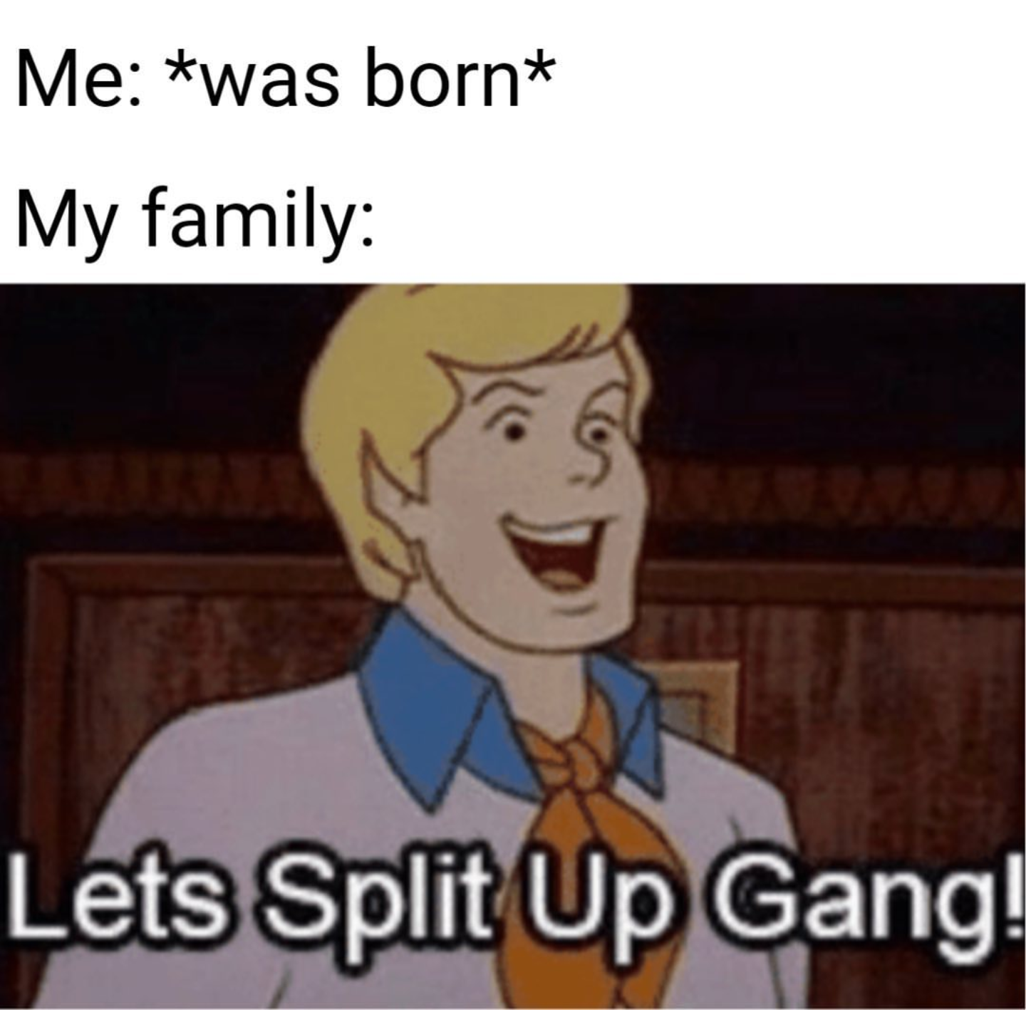 me was born my family lets split up gang - Me was born My family Lets Split Up Gang!