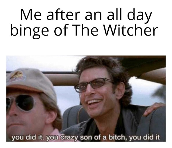 nnn meme - Me after an all day binge of The Witcher you did it. you crazy son of a bitch, you did it