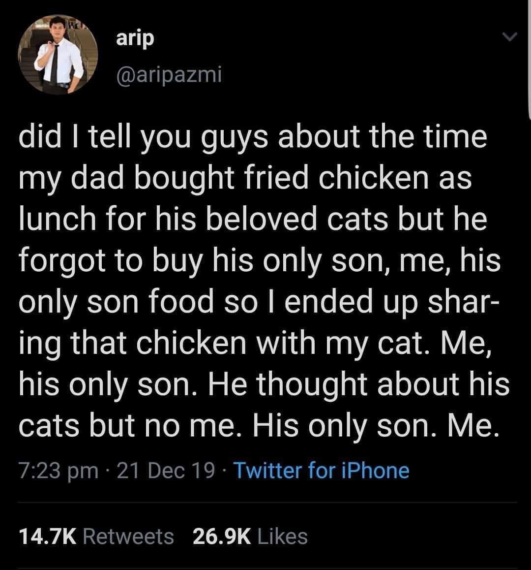 screenshot - arip did I tell you guys about the time my dad bought fried chicken as lunch for his beloved cats but he forgot to buy his only son, me, his only son food so I ended up shar ing that chicken with my cat. Me, his only son. He thought about his