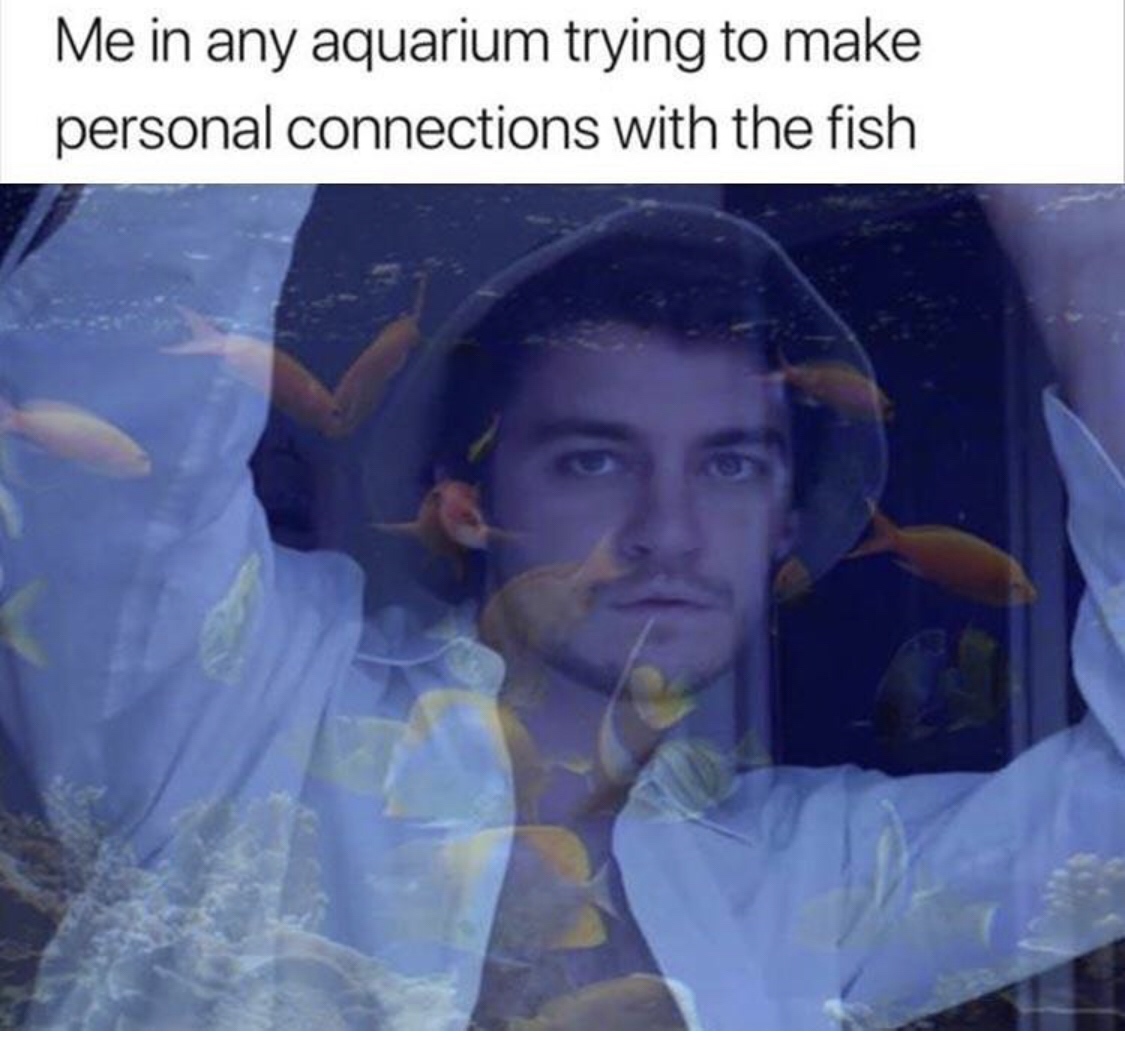 me trying to make personal connections - Me in any aquarium trying to make personal connections with the fish