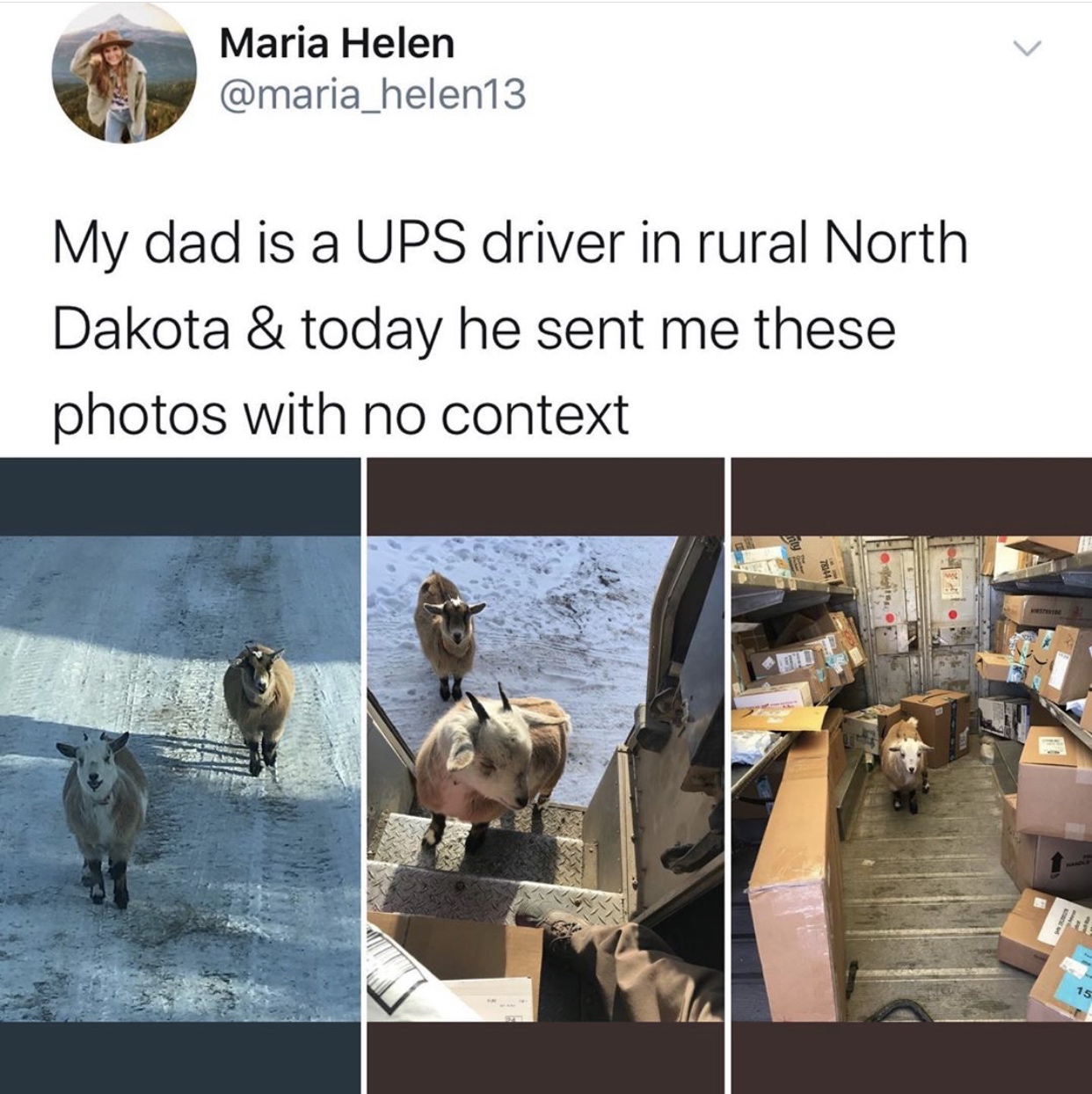 pet - Maria Helen My dad is a Ups driver in rural North Dakota & today he sent me these photos with no context