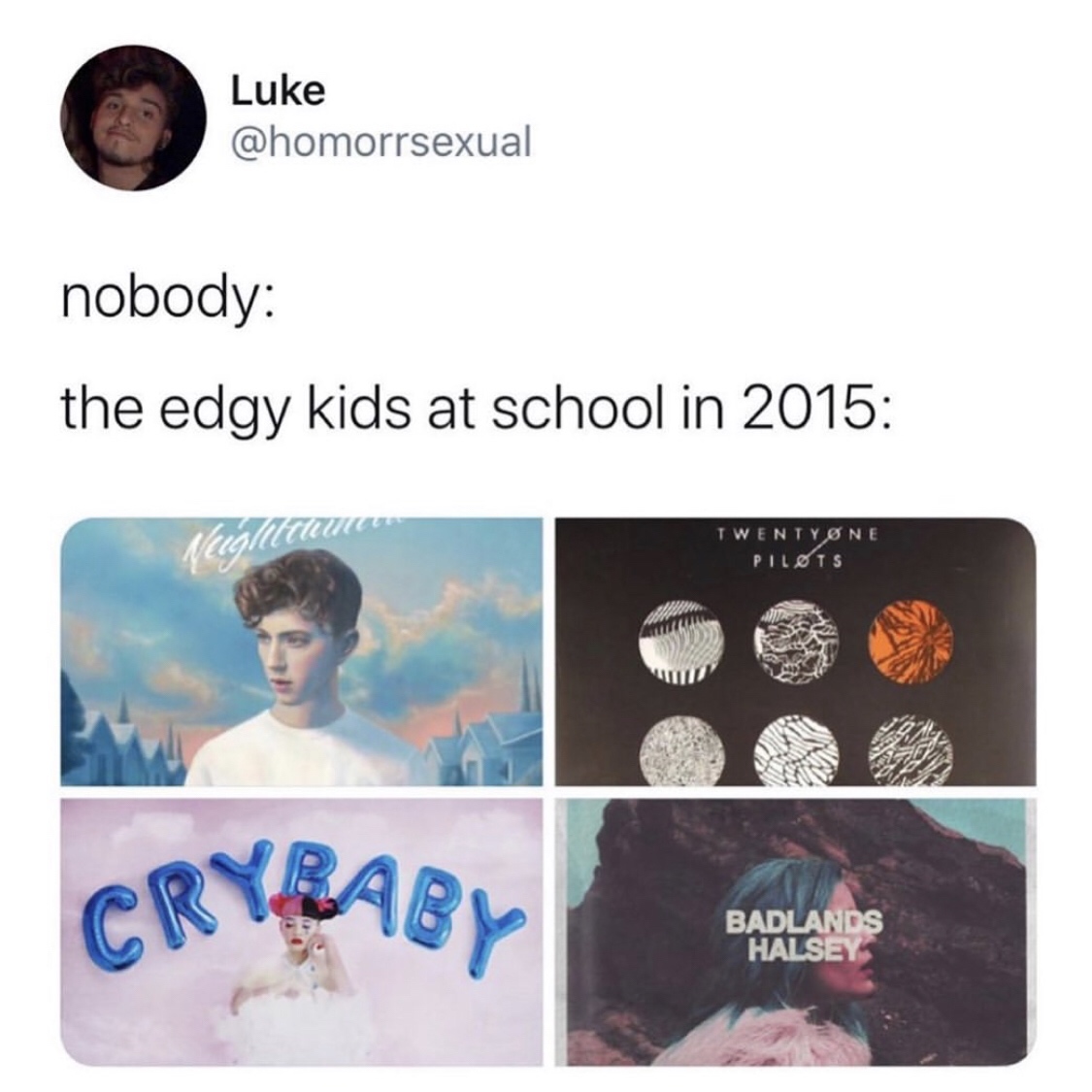 Luke nobody the edgy kids at school in 2015 Twenty One Pilots Cry Baby Badlands Halsey