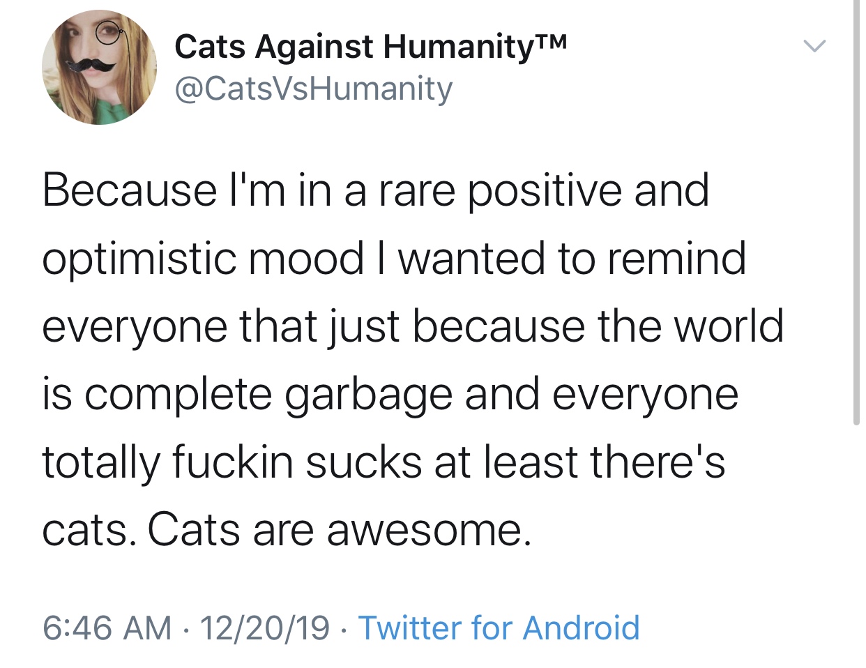 does this man spark joy tweet - Cats Against HumanityTM Because I'm in a rare positive and optimistic mood I wanted to remind everyone that just because the world is complete garbage and everyone totally fuckin sucks at least there's cats. Cats are awesom