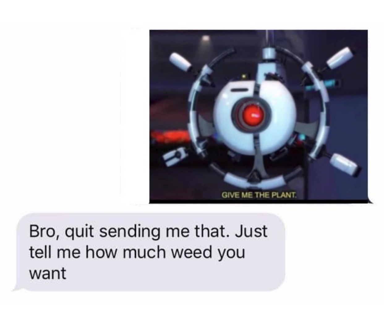 give me the plant meme - Give Me The Plant. Bro, quit sending me that. Just tell me how much weed you want