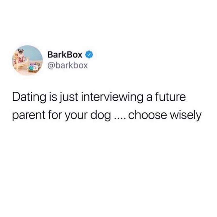 communication - BarkBox Dating is just interviewing a future parent for your dog ... choose wisely