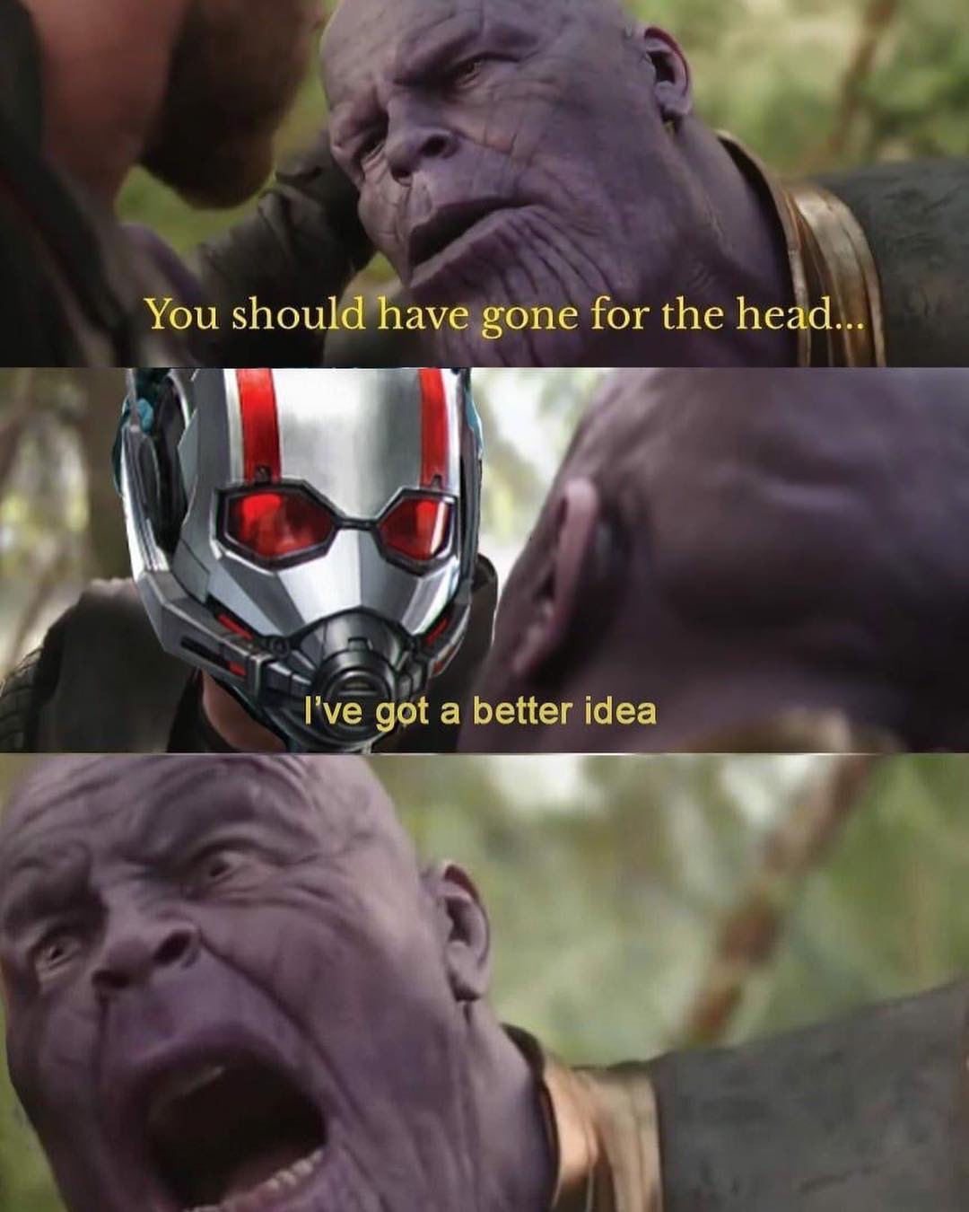 ant man and thanos meme - You should have gone for the head... I've got a better idea