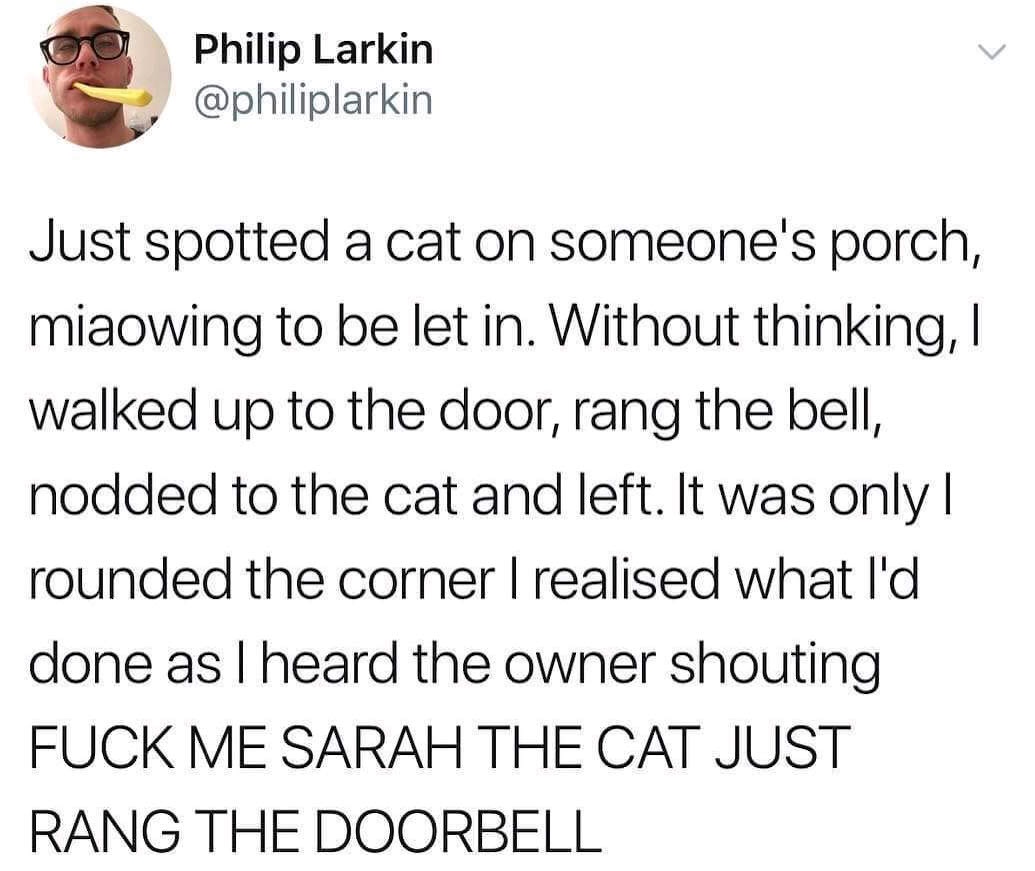 trust quotes - Philip Larkin Just spotted a cat on someone's porch, miaowing to be let in. Without thinking, I walked up to the door, rang the bell, nodded to the cat and left. It was only | rounded the corner I realised what I'd done as I heard the owner