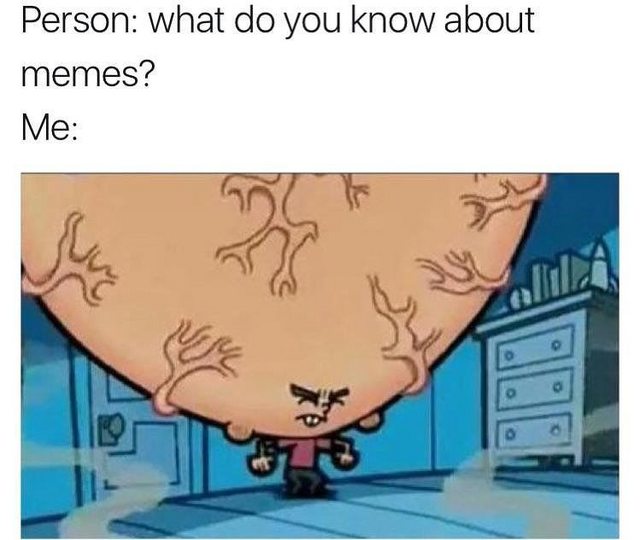 big brain meme - Person what do you know about memes? Me