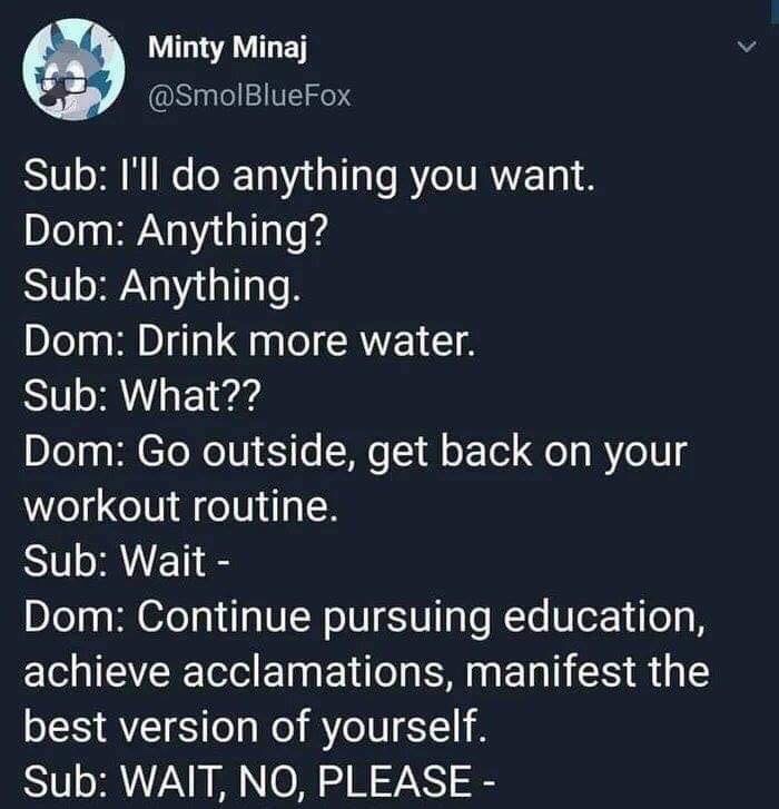 funny dom memes - Minty Minaj Sub I'll do anything you want. Dom Anything? Sub Anything. Dom Drink more water. Sub What?? Dom Go outside, get back on your workout routine. Sub Wait Dom Continue pursuing education, achieve acclamations, manifest the best v