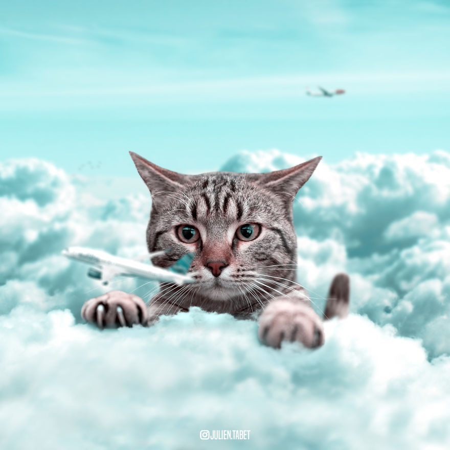 24 Amazingly Photoshopped Animals By Julien Tabet