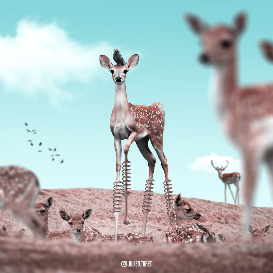 24 Amazingly Photoshopped Animals By Julien Tabet