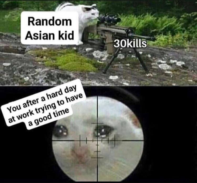 cat sniper meme - Random Asian kid 30kills You after a hard day at work trying to have a good time