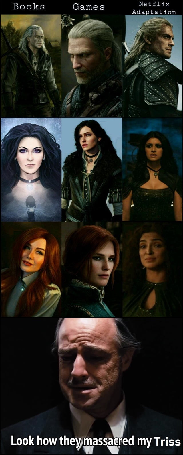 meme the witcher - Books Games Netflix Adaptation Look how they massacred my Triss