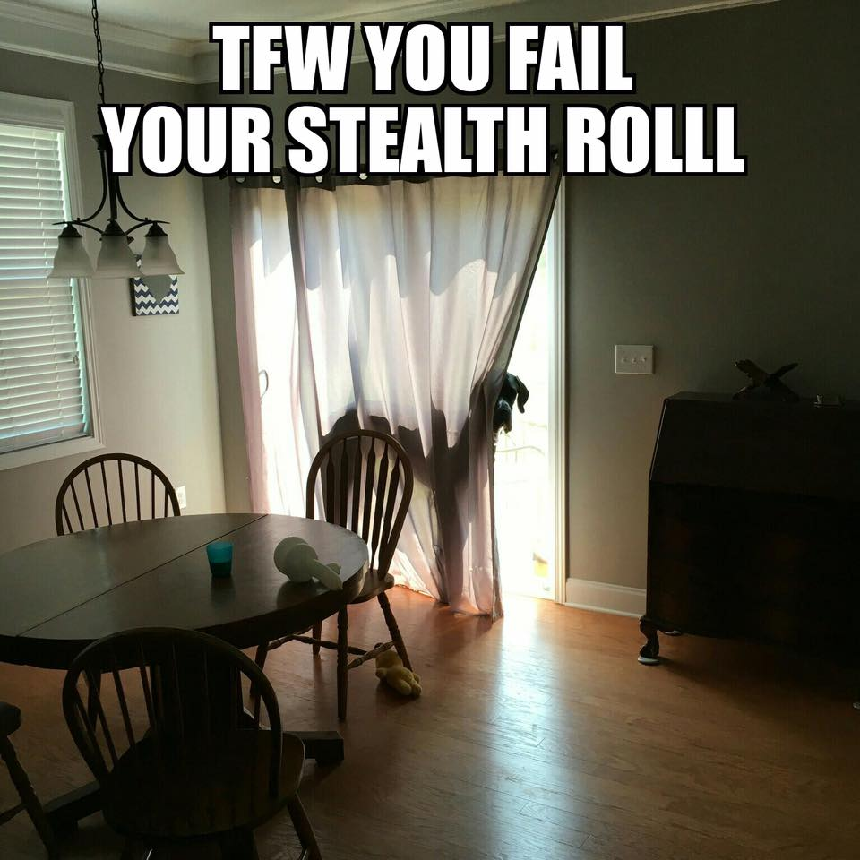 table - Tfw You Fail Your Stealth Rolll
