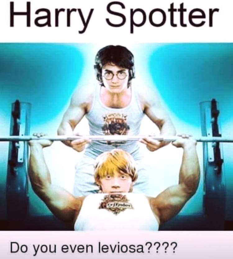 harry spotter - Harry Spotter Do you even leviosa????
