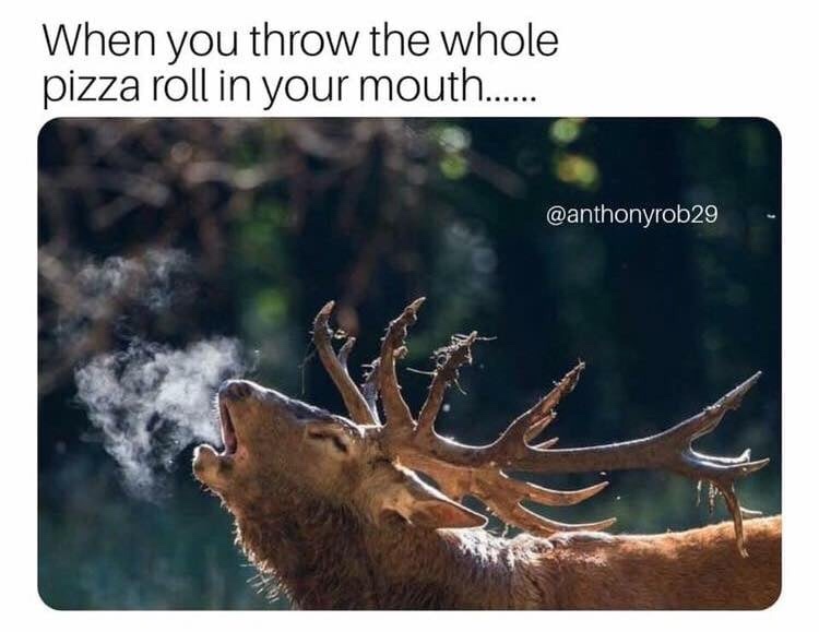 first bite of hot pocket meme - When you throw the whole pizza roll in your mouth.