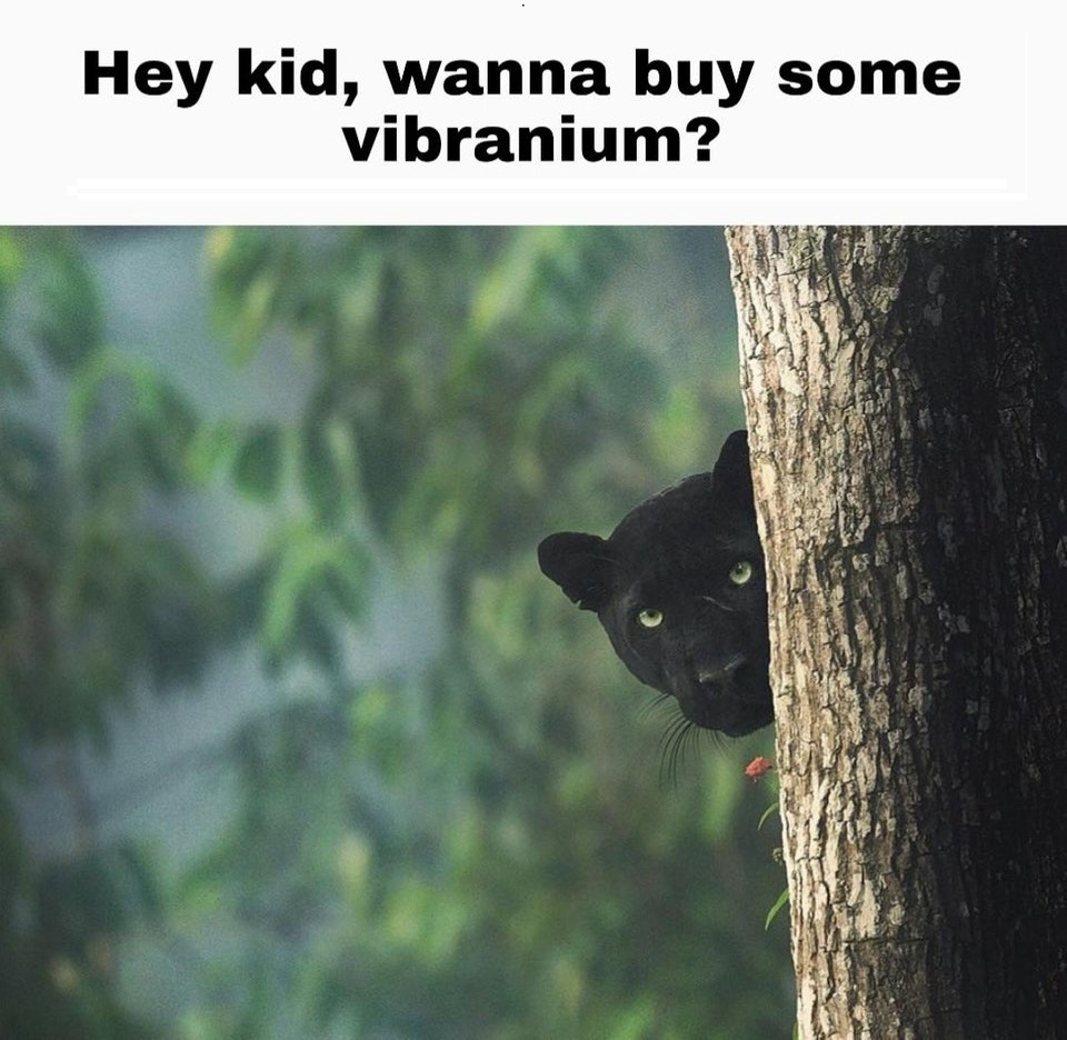 hey kids wanna buy some memes - Hey kid, wanna buy some vibranium?