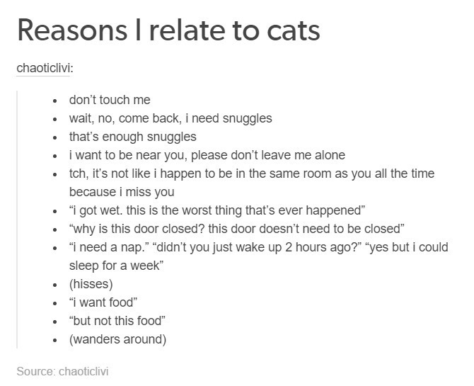 i m like a cat - Reasons I relate to cats chaoticlivi don't touch me wait, no, come back, i need snuggles that's enough snuggles i want to be near you, please don't leave me alone tch, it's not i happen to be in the same room as you all the time because i
