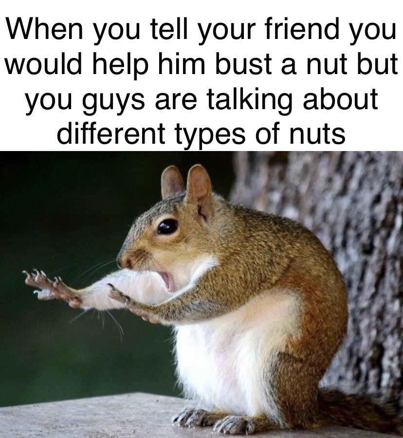 punjabi status 2019 funny - When you tell your friend you would help him bust a nut but you guys are talking about different types of nuts