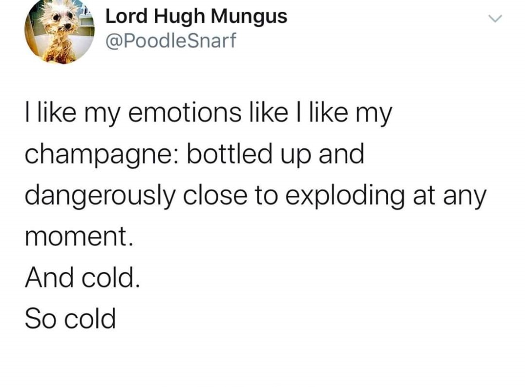 angle - Lord Hugh Mungus I my emotions I my champagne bottled up and dangerously close to exploding at any moment. And cold. So cold