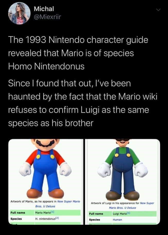 mario bros - Michal The 1993 Nintendo character guide revealed that Mario is of species Homo Nintendonus Since I found that out, I've been haunted by the fact that the Mario wiki refuses to confirm Luigi as the same species as his brother Artwork of Mario