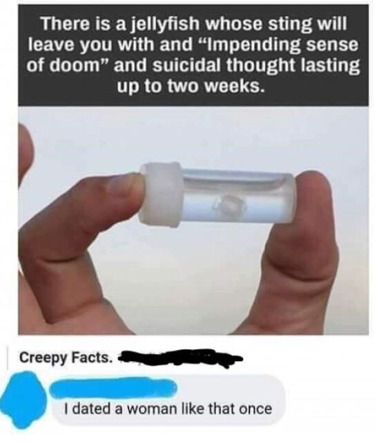 dated a woman like that once meme - There is a jellyfish whose sting will leave you with and "Impending sense of doom" and suicidal thought lasting up to two weeks. Creepy Facts. I dated a woman that once