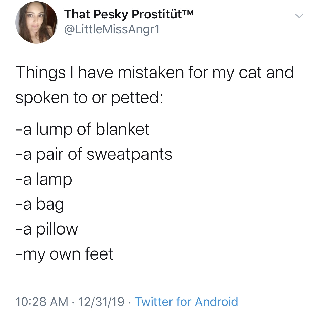 angle - That Pesky ProstittTM MissAngr1 Things I have mistaken for my cat and spoken to or petted a lump of blanket a pair of sweatpants a lamp a bag a pillow my own feet 123119 Twitter for Android