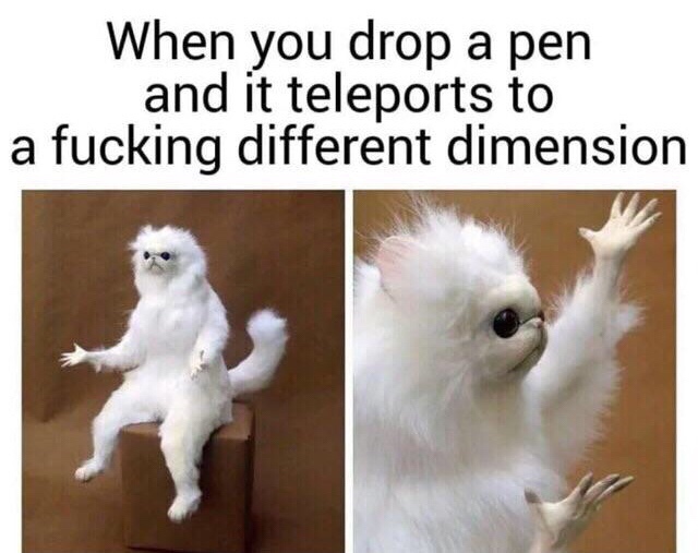 you drop a pen and it teleports - When you drop a pen and it teleports to a fucking different dimension