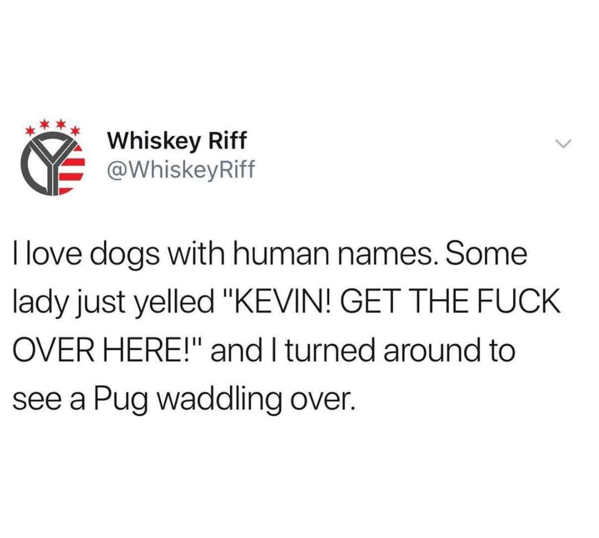 sleep is an open relationship with death - Whiskey Riff Tlove dogs with human names. Some lady just yelled "Kevin! Get The Fuck Over Here!" and I turned around to see a Pug waddling over.