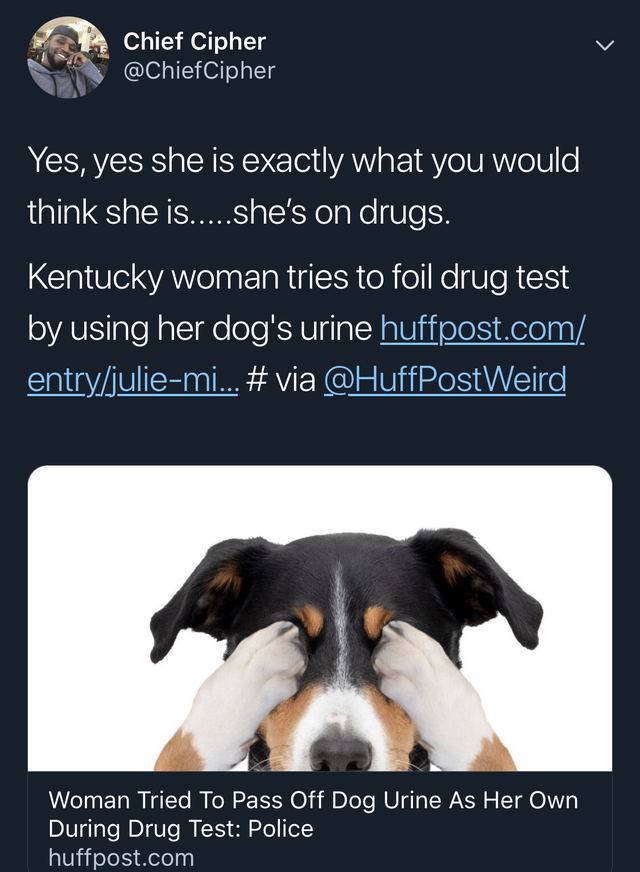 photo caption - Chief Cipher Yes, yes she is exactly what you would think she is.....she's on drugs. Kentucky woman tries to foil drug test by using her dog's urine huffpost.com entryjuliemi... Woman Tried To Pass Off Dog Urine As Her Own During Drug Test