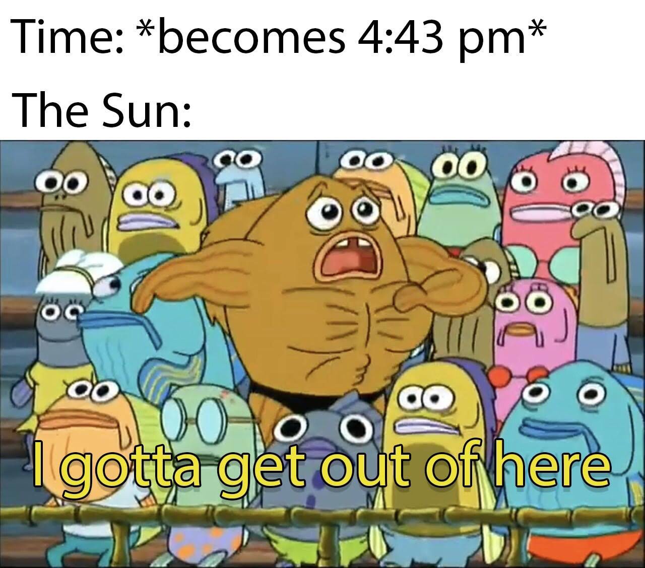 gotta get outta here meme - Time becomes The Sun co I gotta get out of here