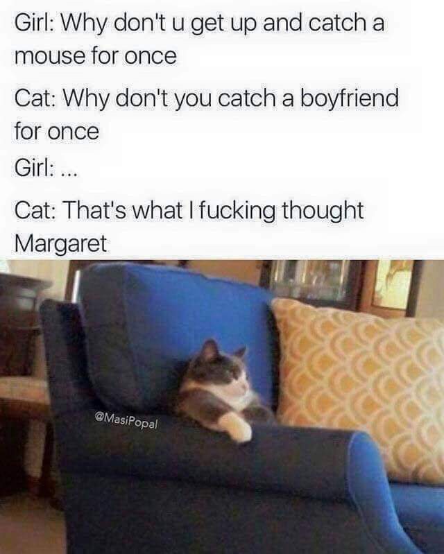 funny margaret memes - Girl Why don't u get up and catch a mouse for once Cat Why don't you catch a boyfriend for once Girl ... Cat That's what I fucking thought Margaret