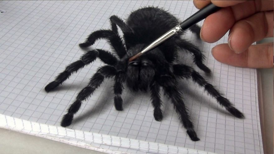 realistic 3d spider drawing