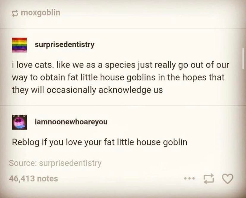 multimedia - moxgoblin surprisedentistry i love cats. we as a species just really go out of our way to obtain fat little house goblins in the hopes that they will occasionally acknowledge us iamnoonewhoareyou Reblog if you love your fat little house gobli
