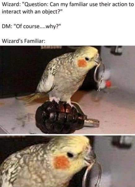 disappointing memes - Wizard "Question Can my familiar use their action to interact with an object?" Dm "Of course....why?" Wizard's Familiar