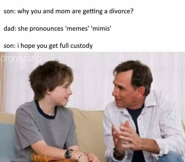 you and mom getting a divorce meme - son why you and mom are getting a divorce? dad she pronounces 'memes' 'mimis' son i hope you get full custody drgrayfang
