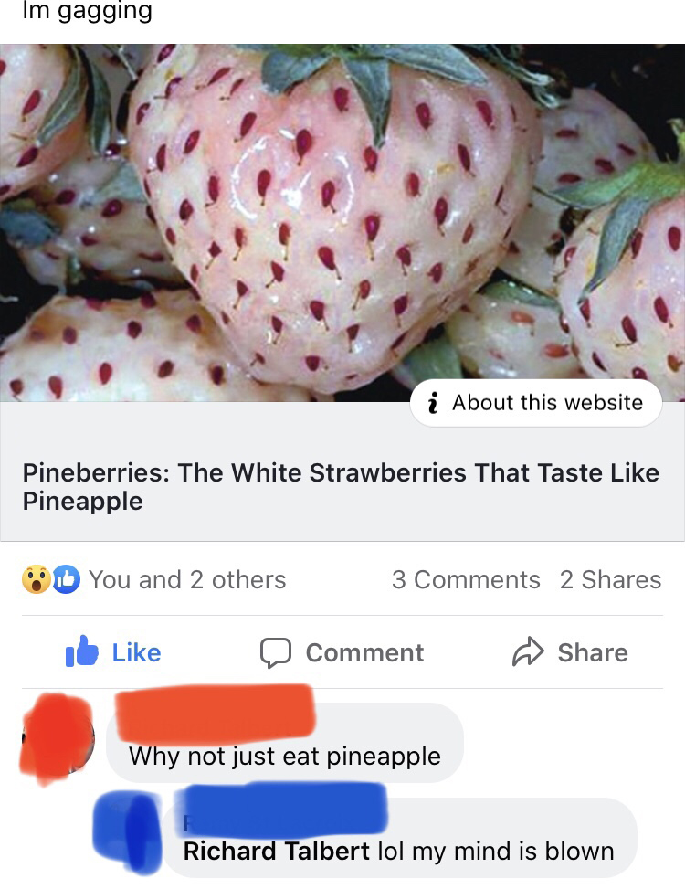 strawberry - Im gagging i About this website Pineberries The White Strawberries That Taste Pineapple You and 2 others 3 2 b Comment Why not just eat pineapple Richard Talbert lol my mind is blown